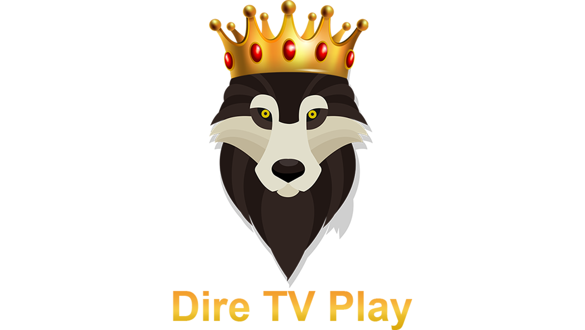 Dire TV Play Logo