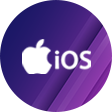 iOS iPad