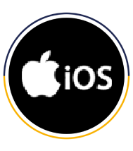 iOS iPad