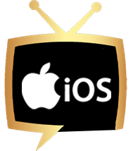 iOS iPad