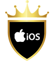 iOS iPad