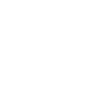 iOS iPad App