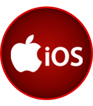 iOS iPad