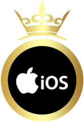 iOS iPad
